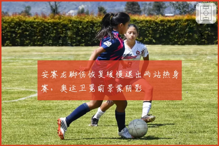 安赛龙脚伤恢复缓慢退出两站热身赛,奥运卫冕前景蒙阴影