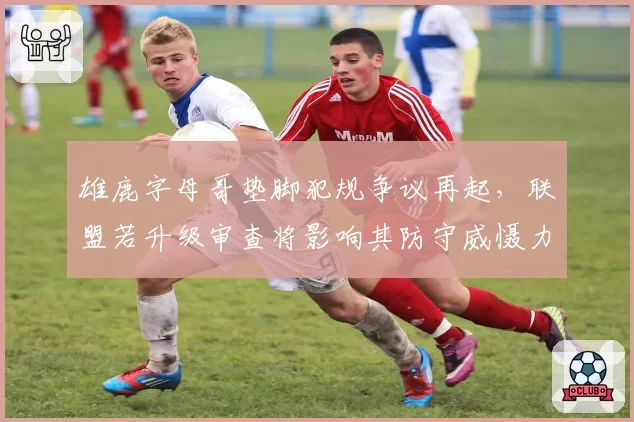 雄鹿字母哥垫脚犯规争议再起，联盟若升级审查将影响其防守威慑力
