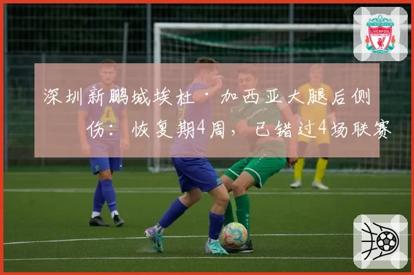 深圳新鹏城埃杜·加西亚大腿后侧拉伤：恢复期4周，已错过4场联赛