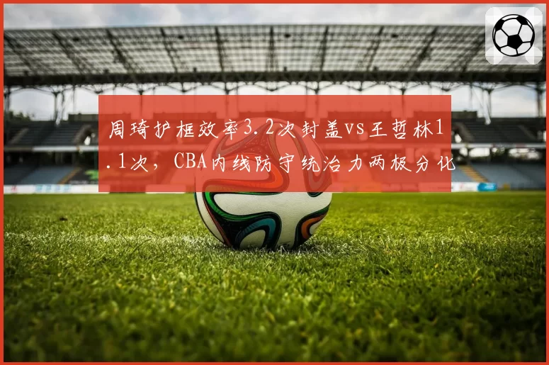周琦护框效率3.2次封盖vs王哲林1.1次，CBA内线防守统治力两极分化