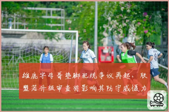 雄鹿字母哥垫脚犯规争议再起，联盟若升级审查将影响其防守威慑力